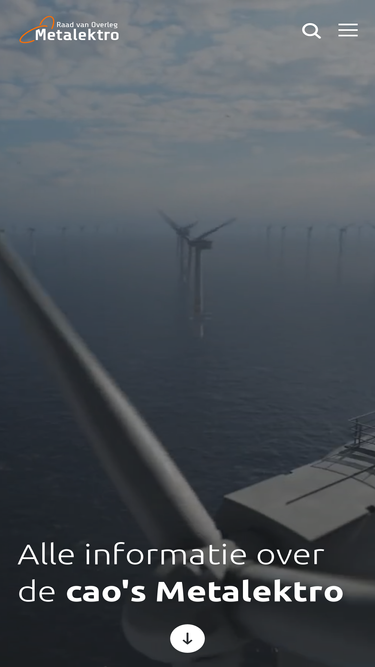 caometalektro.nl