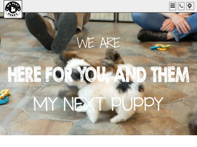 'mynextpuppy.com' screenshot