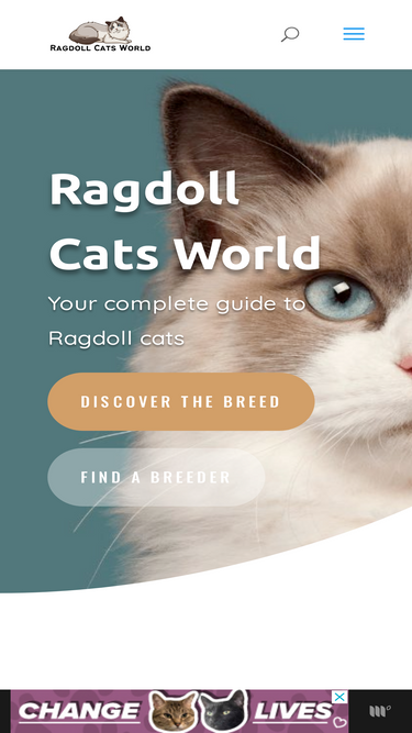 ragdollcatsworld.com