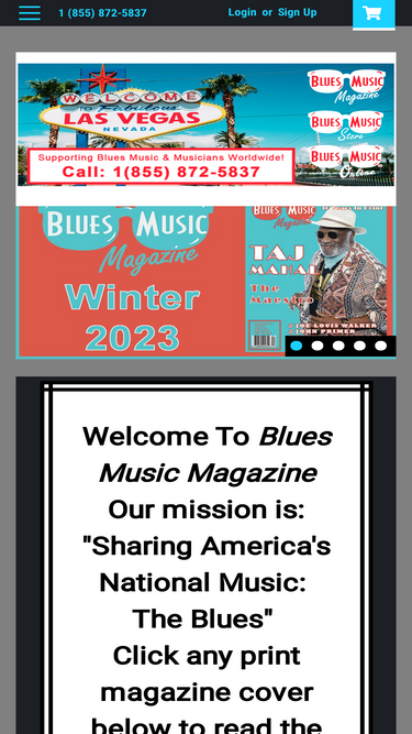 bluesmusicstore.com