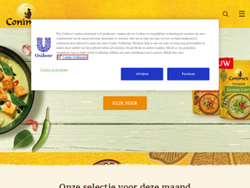 'conimex.nl' screenshot