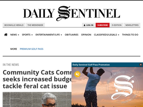 'romesentinel.com' screenshot