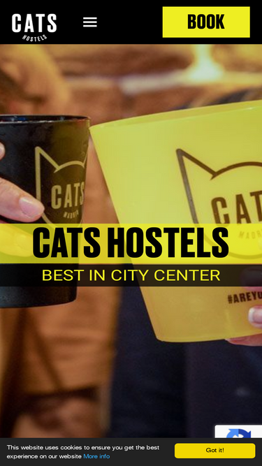 catshostels.com