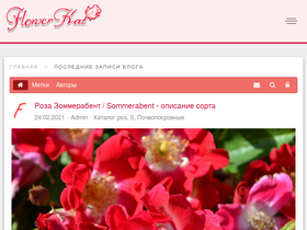 'flowerkat.ru' screenshot