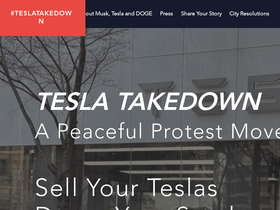 teslatakedown.com