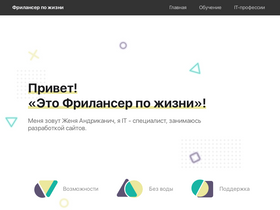 'fls.guru' screenshot