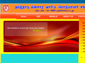 'tnebes.org' screenshot