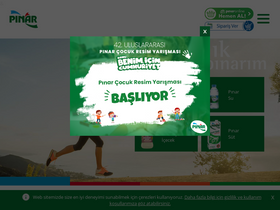 'pinar.com.tr' screenshot