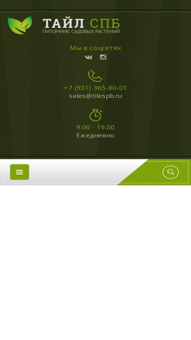 tilespb.ru