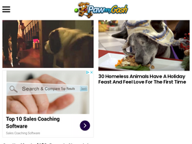 'pawmygosh.co' screenshot