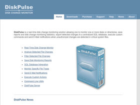 diskpulse.com