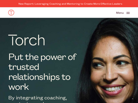 'torch.io' screenshot