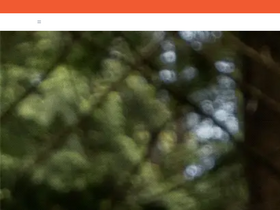 'roark.com' screenshot