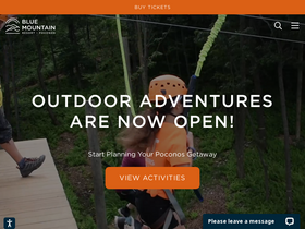 'skibluemt.com' screenshot