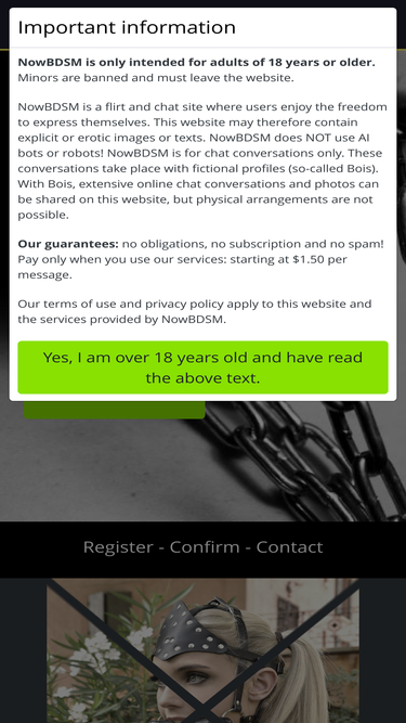 nowbdsm.com