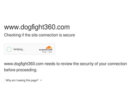 'dogfight360.com' screenshot