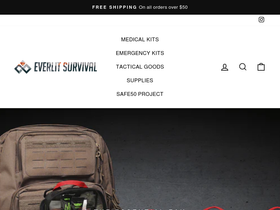everlitglobal.com homepage screenshot
