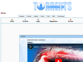 'zelka.org' screenshot