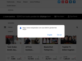 'dizisiyenibolum.com' screenshot