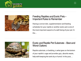 'lizards101.com' screenshot