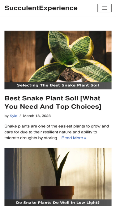 succulentexperience.com