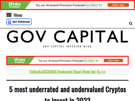 'gov.capital' screenshot