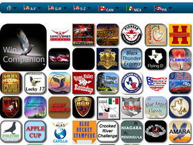 'wincompanion.com' screenshot