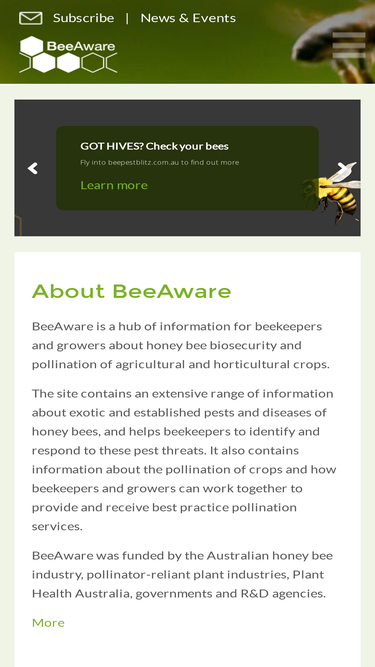beeaware.org.au