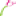 soexflora.com