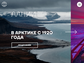 'aari.ru' screenshot