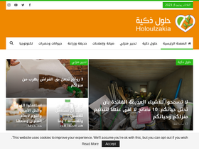 'holoulzakia.com' screenshot