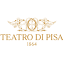 teatrodipisa.it