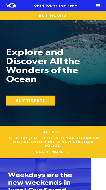 georgiaaquarium.org