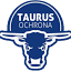 taurus-ochrona.pl