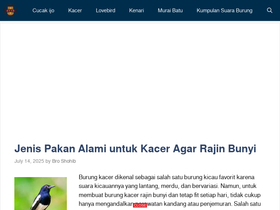 'pamankicau.com' screenshot