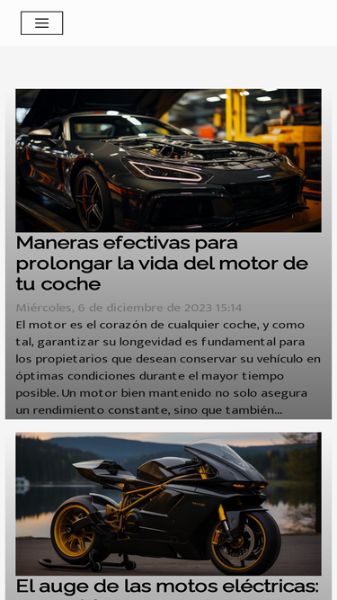 bolsaclasicos.com