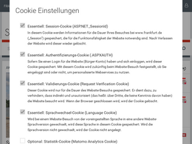 'frankfurt.de' screenshot