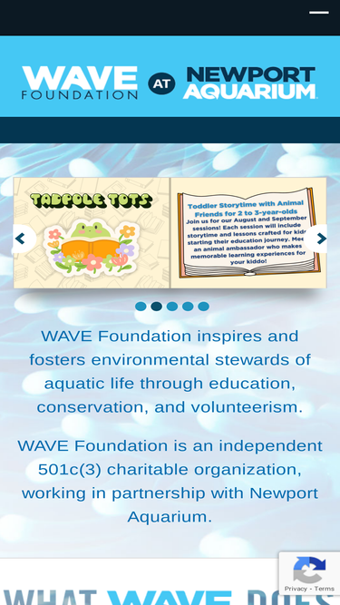 wavefoundation.org