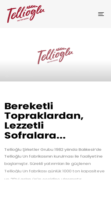 tellioglu.com.tr