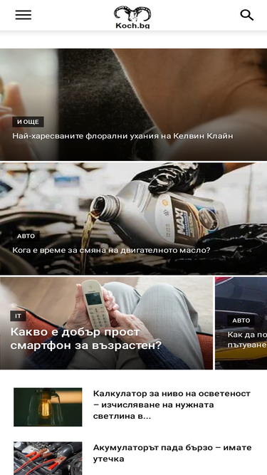 koch.bg