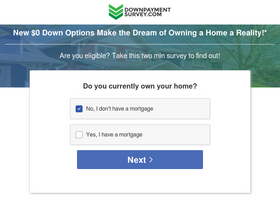 'downpaymentsurvey.com' screenshot