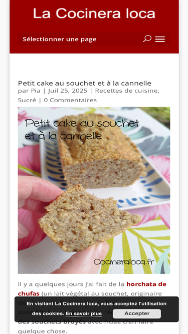 cocineraloca.fr