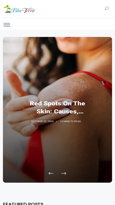 blueterra.in