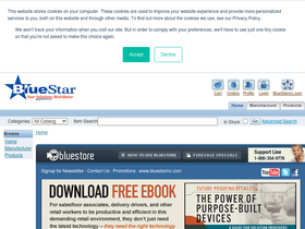 'bluestoreinc.com' screenshot
