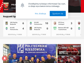 'pzts.pl' screenshot