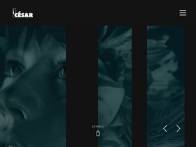 'academie-cinema.org' screenshot