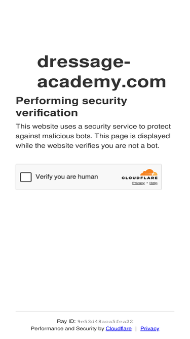 dressage-academy.com