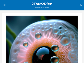 '2tout2rien.fr' screenshot