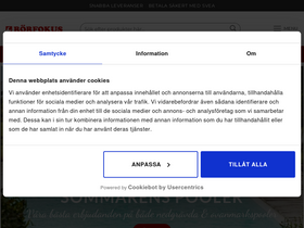 'rorfokus.se' screenshot