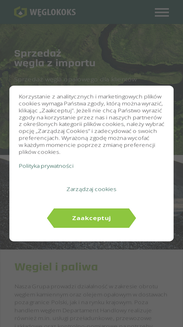 weglokoks.com.pl